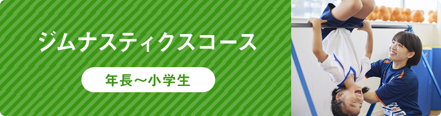 ジムナスティクスコース